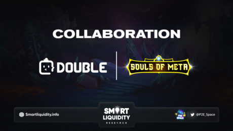 Double Protocol and Souls of Meta Collaboration