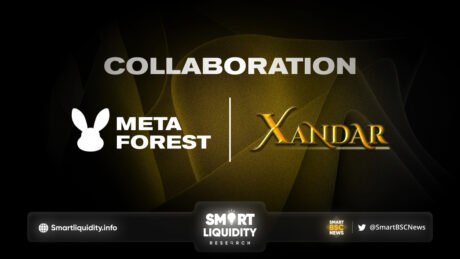 Xandar Partnership with Meta Forest