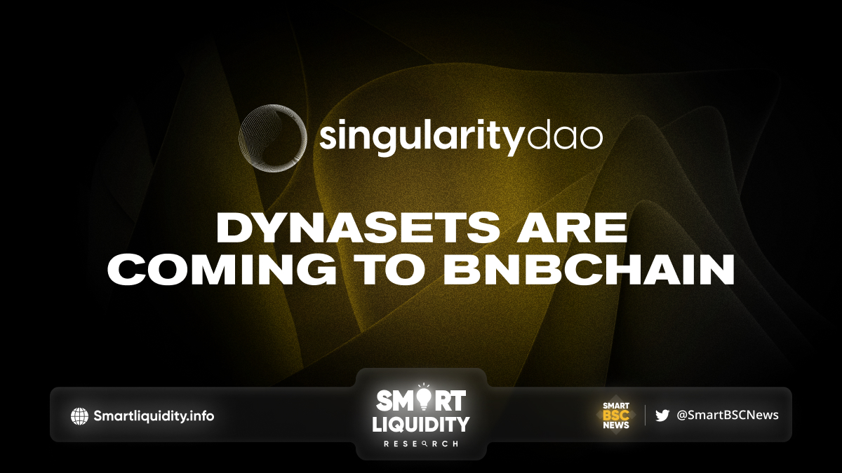 SingularityDAO DynaSets on BNBChain