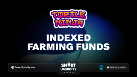 Tortle Ninja Indexed Farming Funds