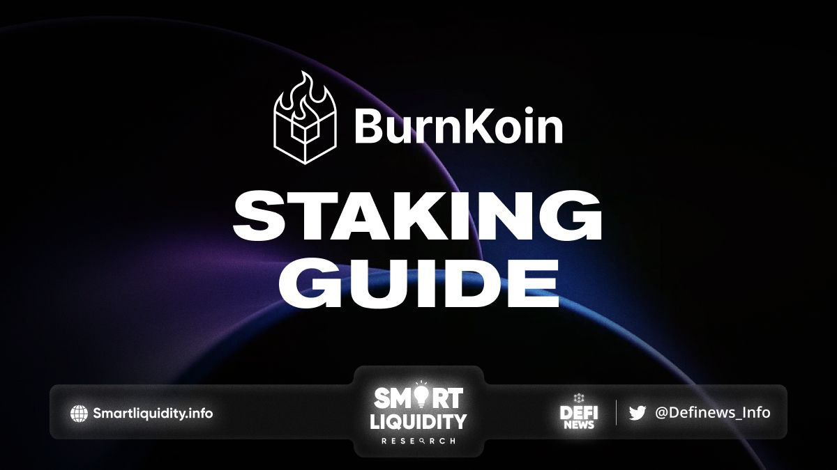 BurnKoin Staking Guide