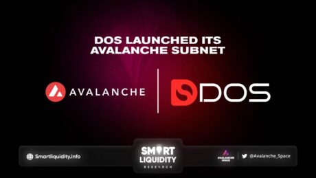 DOS Labs Launched its Avalanche Subnet