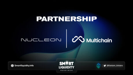 Multichain Partnership with Nucleon