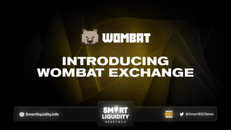 Introducing Wombat Exchange