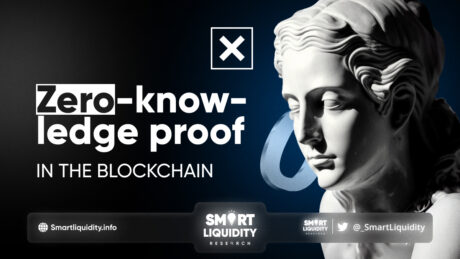 Zero-Knowledge Proof in the Blockchain