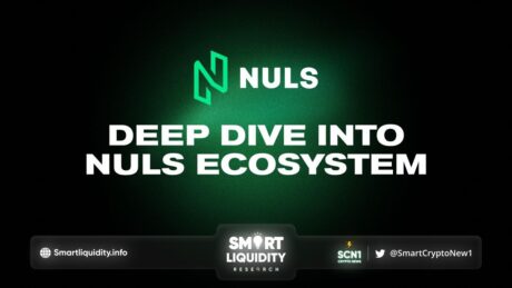 Deep-Dive into NULS Ecosystem