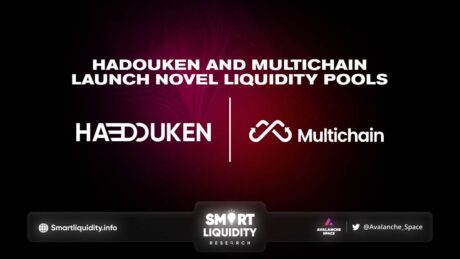 Multichain and Hadouken Launch MultiToken Liquidity Pools