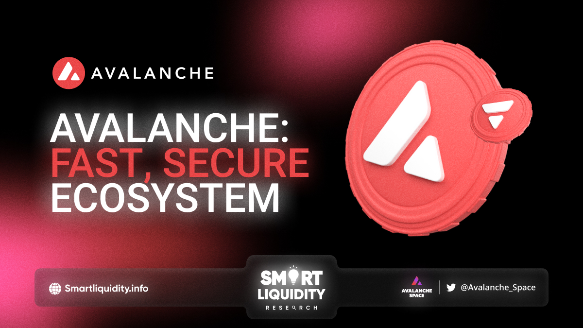 Navigating The Avalanche Ecosystem – Smart Liquidity Research