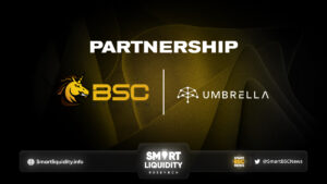 BSCStation Partnership with Umbrella Network