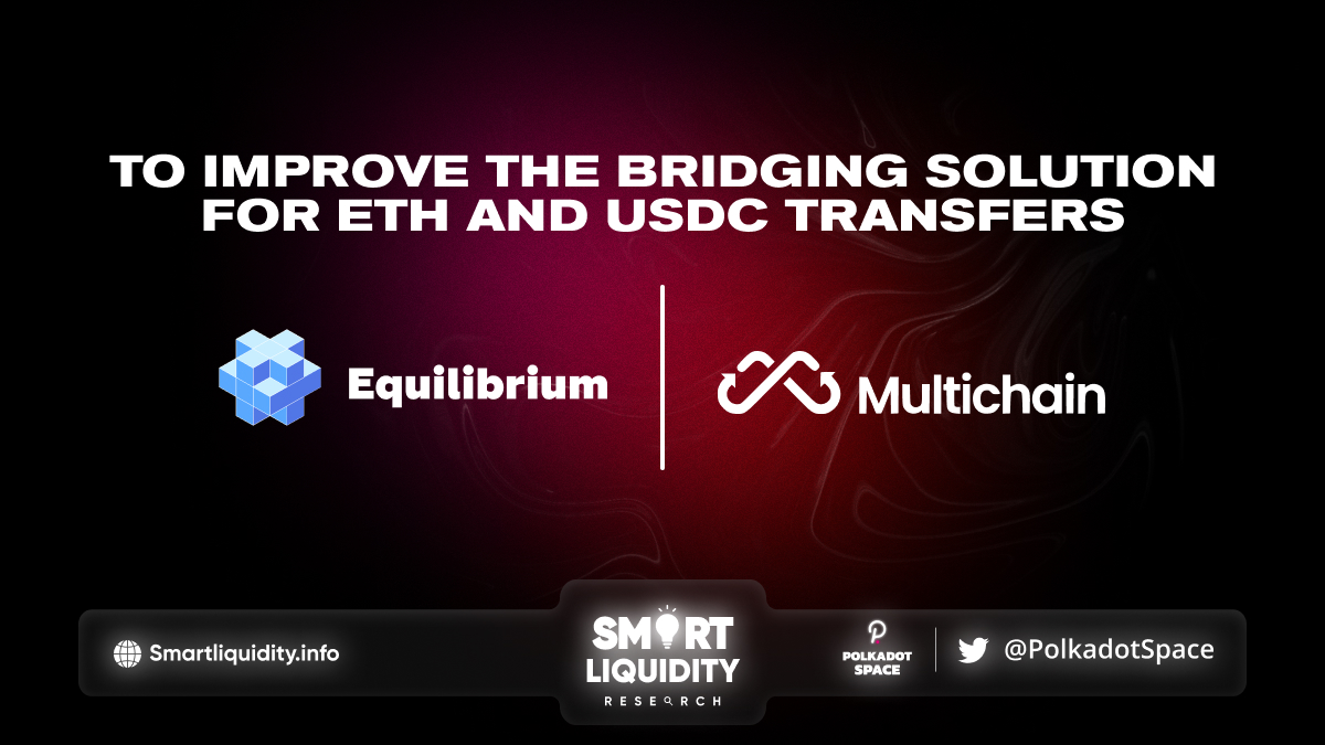 Equilibrium Partners With Multichain