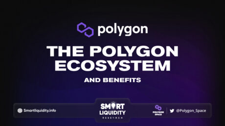The Polygon Ecosystem and Benefits