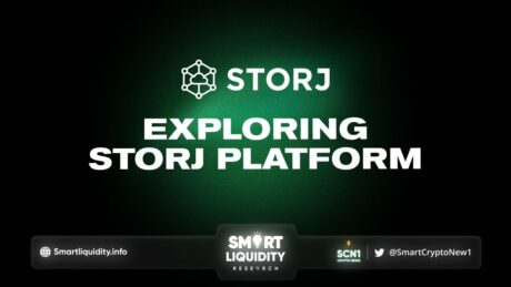 Exploring the Storj Ecosystem