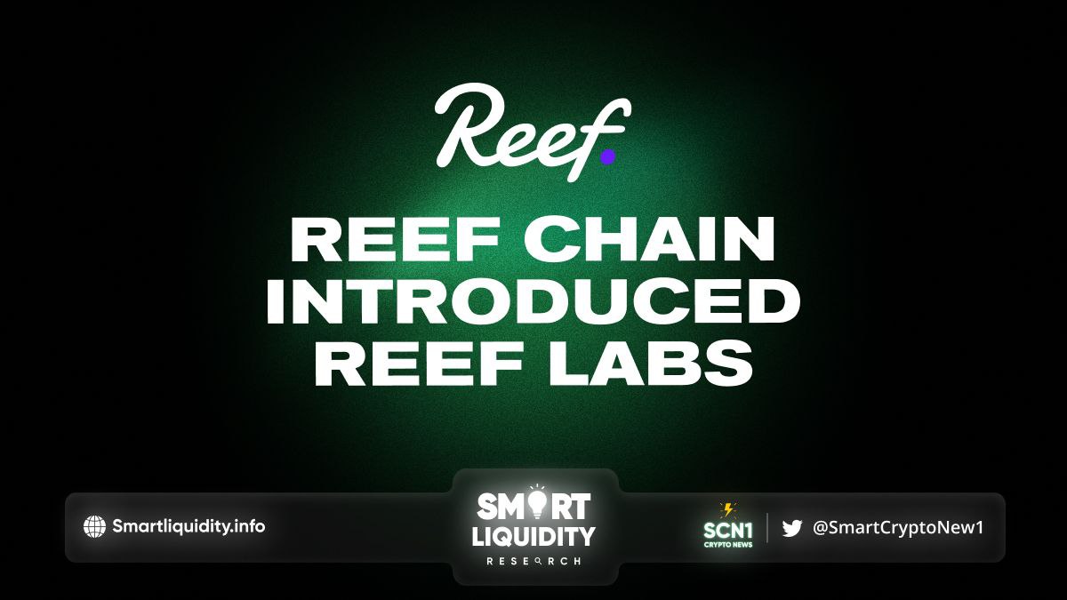 Reef Chain Introduced Reef Labs