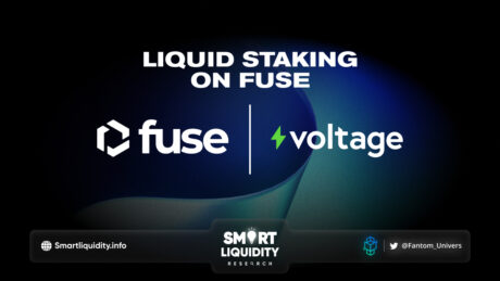 Voltage: Liquid Staking on Fuse