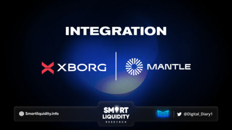 XBorg and Mantle Network Integration