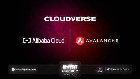 Alibaba Cloud & Partners Deploy Avalanche Metaverse