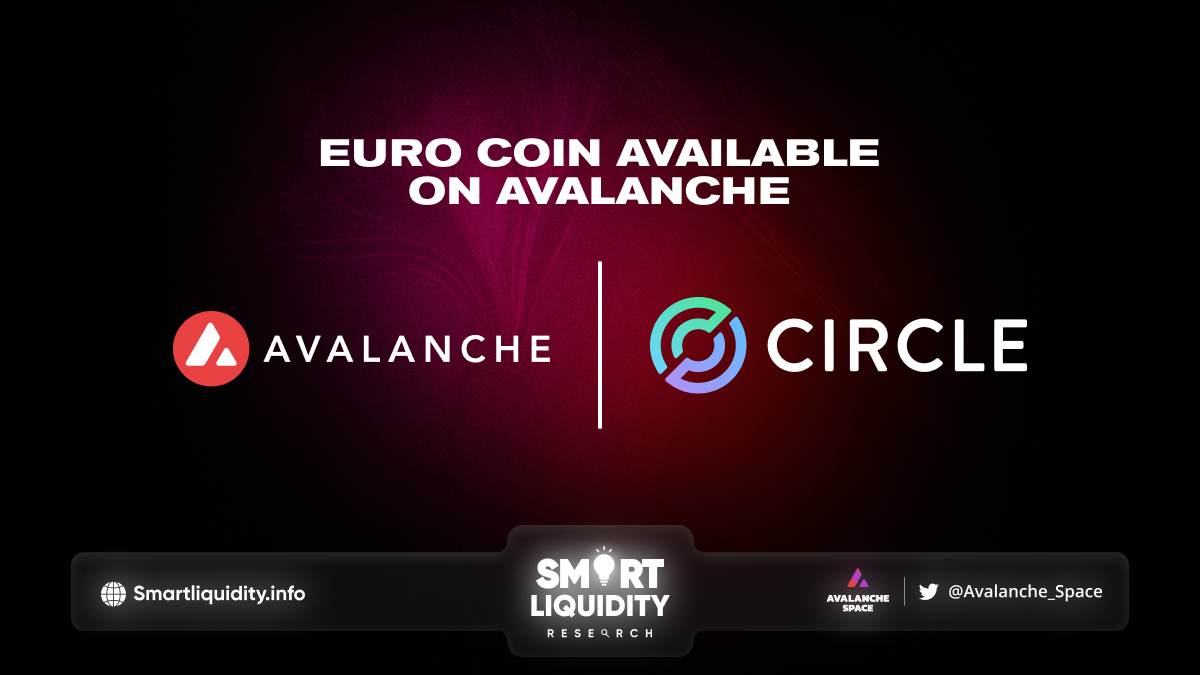 Euro Coin Available on Avalanche Blockchain