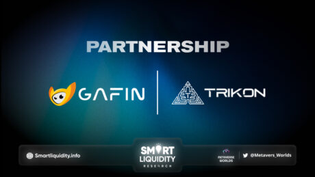 Gafin and Trikon Partnership