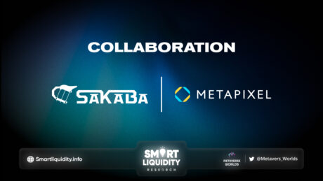 Sakaba and METAPIXEL Collaboration