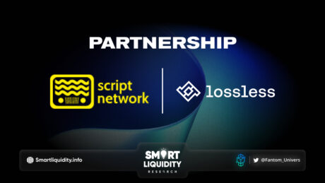 Lossless Partnership with Script Network