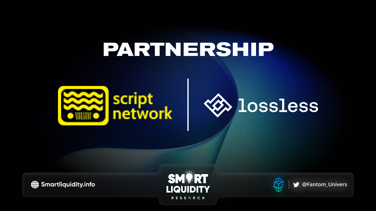 Lossless Partnership with Script Network