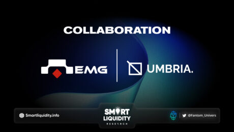 Umbria Network Partnership with EMG