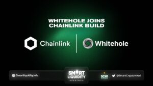 Whitehole Joins Chainlink BUILD