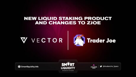 Vector Finance New Liquid Staking Pruduct