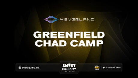 4EVERLAND Greenfield Chad Camp