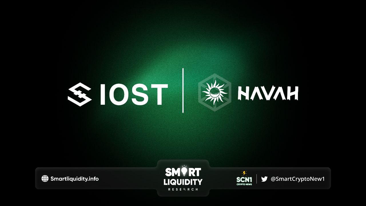 IOST partners with HAVAH