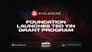 The Ted Yin Grant Program