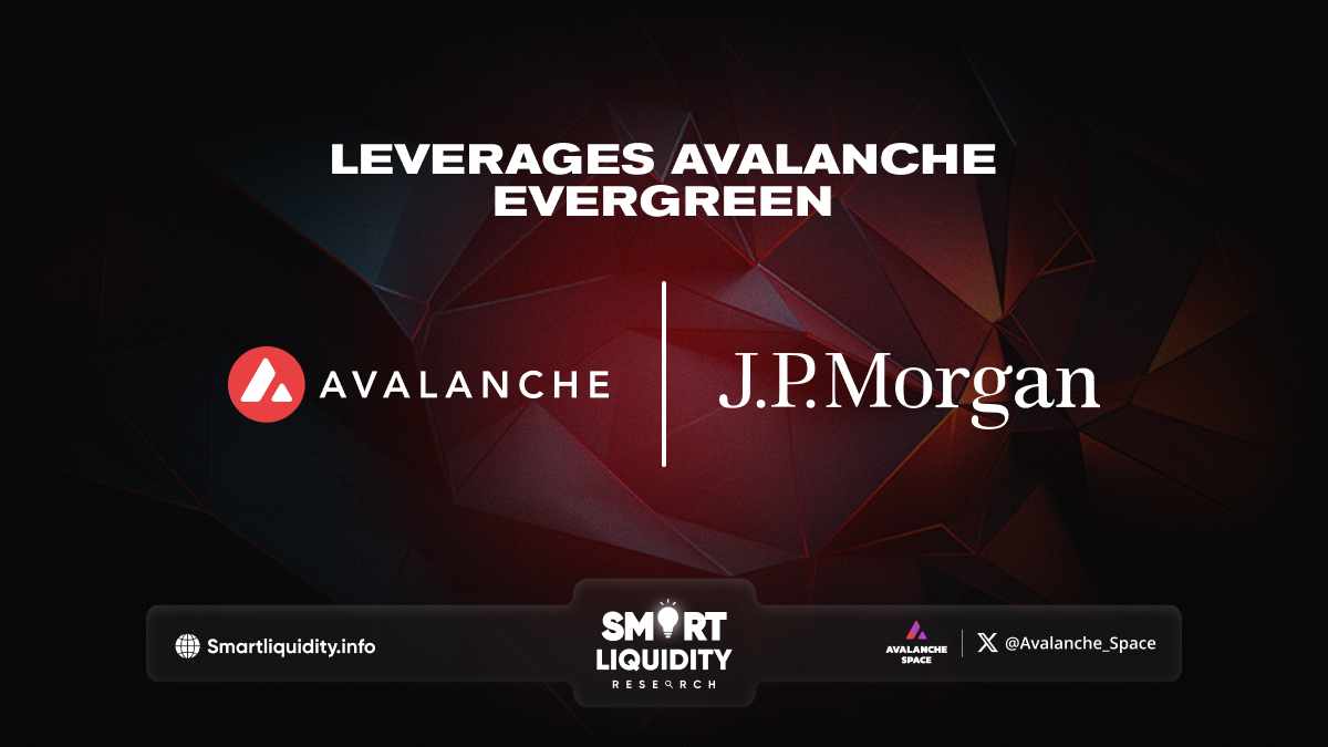 Onyx Leverages Avalanche Evergreen, 