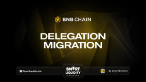 Delegation Migration on BNBChain