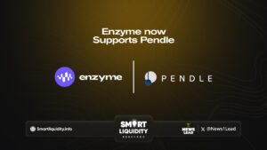 Enzyme now Supports Pendle