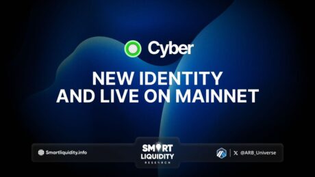 Cyber Connect New Identity