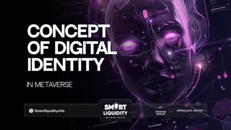 Concept of Digital Identity in the Metaverse