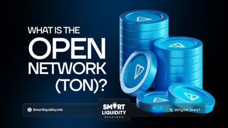 What is the Open Network (TON)?