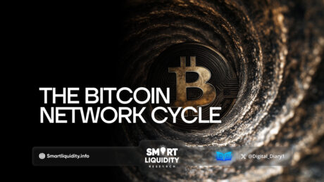 The Bitcoin Network Cycle