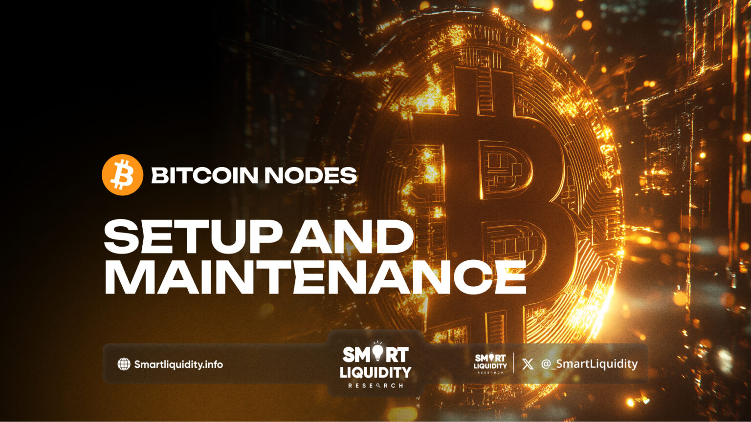 Bitcoin Nodes: Setup and Maintenance - Smart Liquidity Research