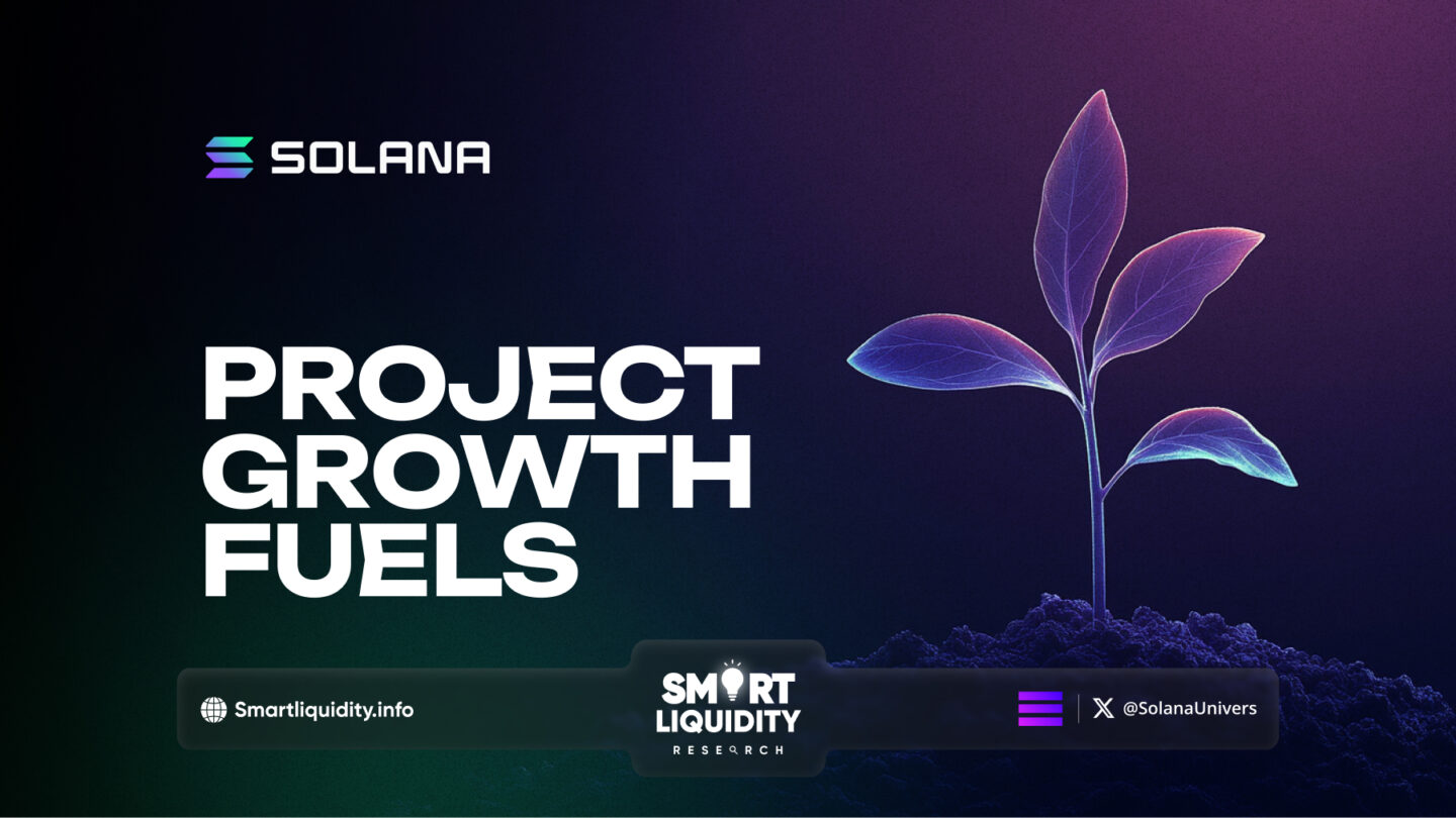 Project Growth Fuels Solana Ecosystem