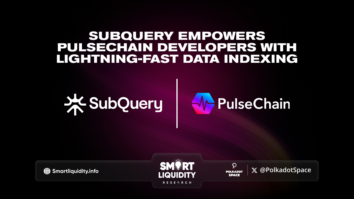 SubQuery's indexing capabilities for PulseChain developers