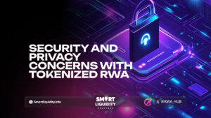 Security and Privacy Concerns with Tokenized RWA