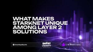 What Makes Starknet Unique Among Layer 2 Solutions