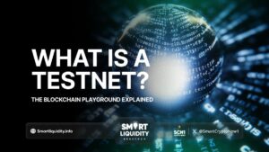 What is a Testnet? The Blockchain Playground Explained